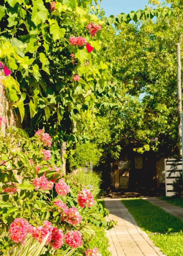 Апартаменти Vina Вілья-Еліса Екстер'єр фото